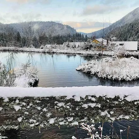 Le Perchoir- Grand Valtin 6 Pers Апартаменты *