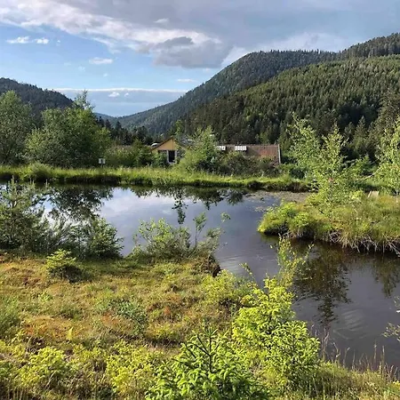 Le Perchoir- Grand Valtin 6 Pers Апартаменты