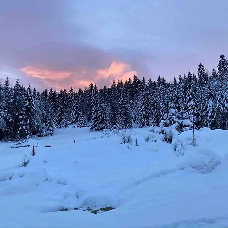 Le Perchoir- Grand Valtin 6 Pers Ban-sur-Meurthe-Clefcy