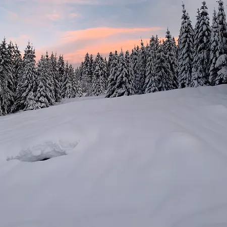 Апартаменты Le Perchoir- Grand Valtin 6 Pers