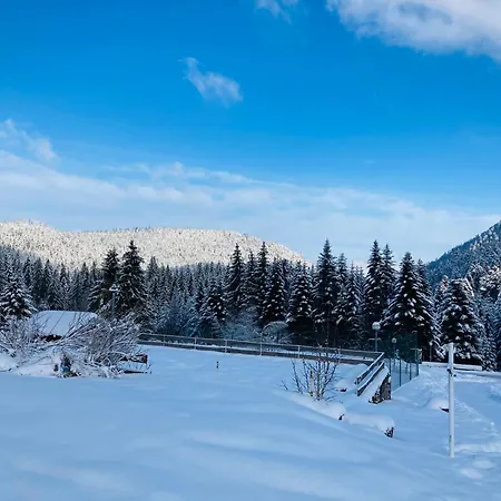 Le Perchoir- Grand Valtin 6 Pers *