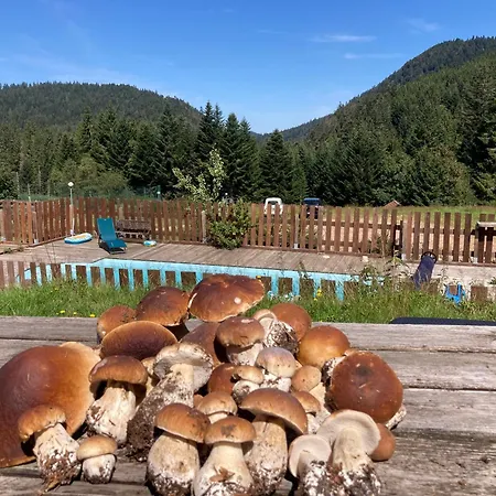 公寓 Le Perchoir- Grand Valtin 6 Pers Ban-sur-Meurthe-Clefcy