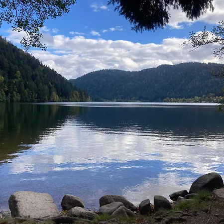 公寓 Le Perchoir- Grand Valtin 6 Pers *