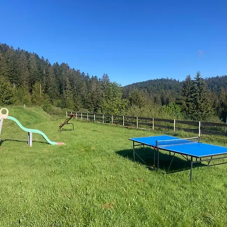 Апартаменты Le Perchoir- Grand Valtin 6 Pers Ban-sur-Meurthe-Clefcy