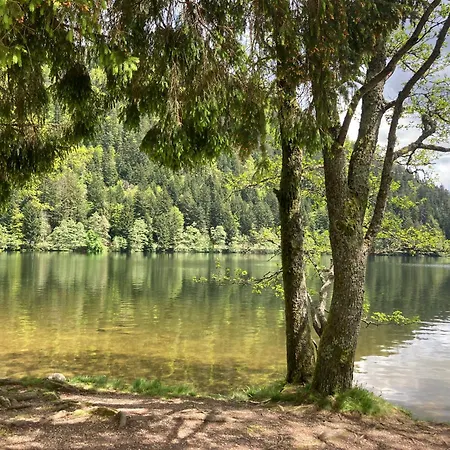 Le Perchoir- Grand Valtin 6 Pers * Ban-sur-Meurthe-Clefcy