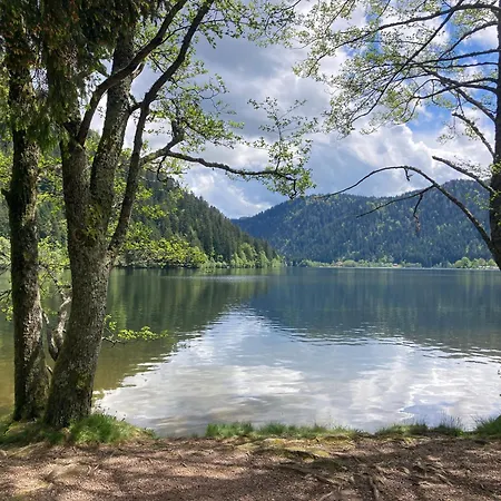 Le Perchoir- Grand Valtin 6 Pers 公寓