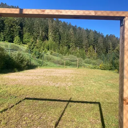 Le Perchoir- Grand Valtin 6 Pers Апартаменты *