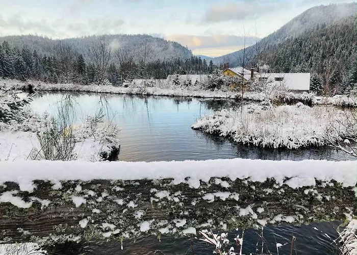 Le Perchoir- Grand Valtin 6 Pers דירה *