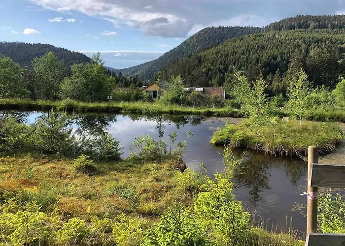 Le Perchoir- Grand Valtin 6 Pers Apartmán