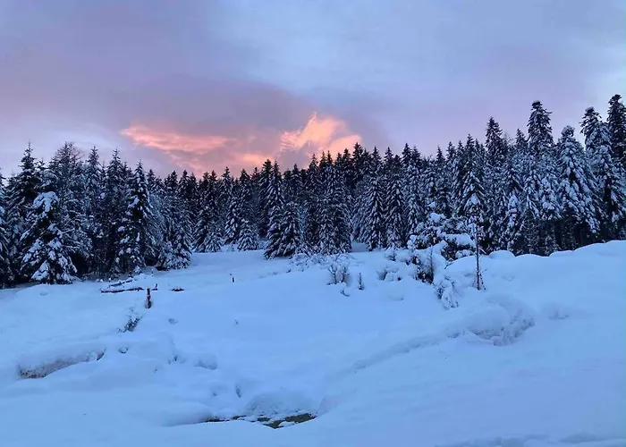 Le Perchoir- Grand Valtin 6 Pers Ban-sur-Meurthe-Clefcy