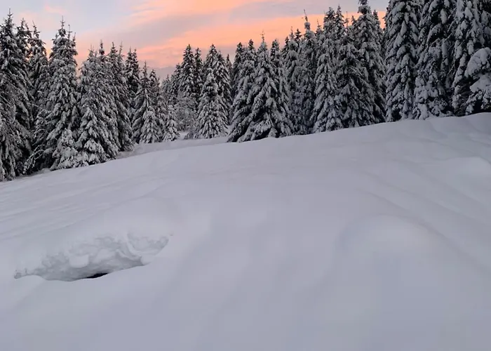 Apartmán Le Perchoir- Grand Valtin 6 Pers