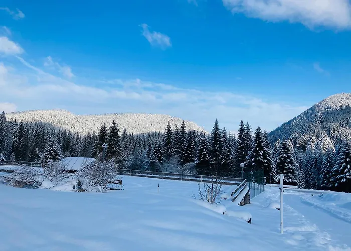 Le Perchoir- Grand Valtin 6 Pers *