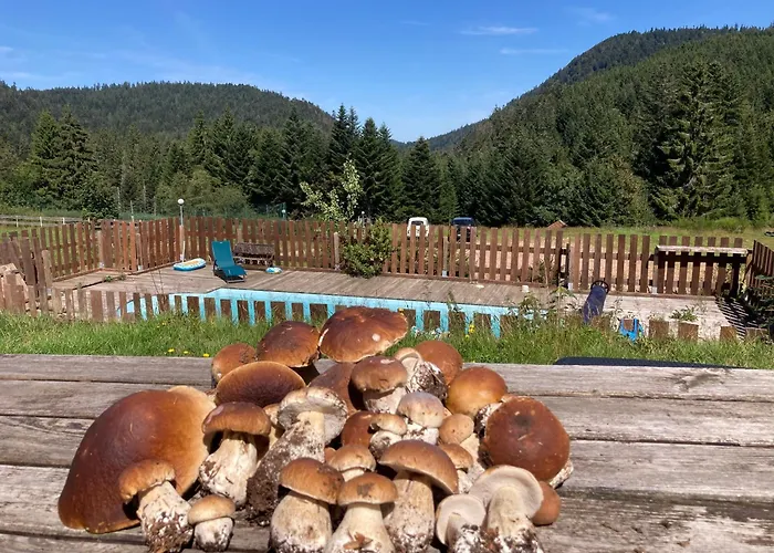 דירה Le Perchoir- Grand Valtin 6 Pers Ban-sur-Meurthe-Clefcy