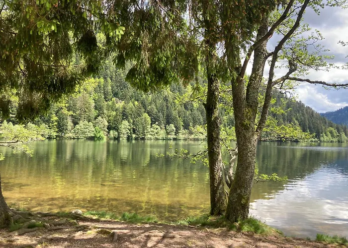 Le Perchoir- Grand Valtin 6 Pers * Ban-sur-Meurthe-Clefcy