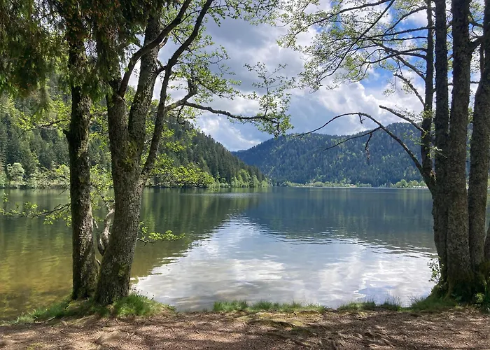 Le Perchoir- Grand Valtin 6 Pers Apartmán