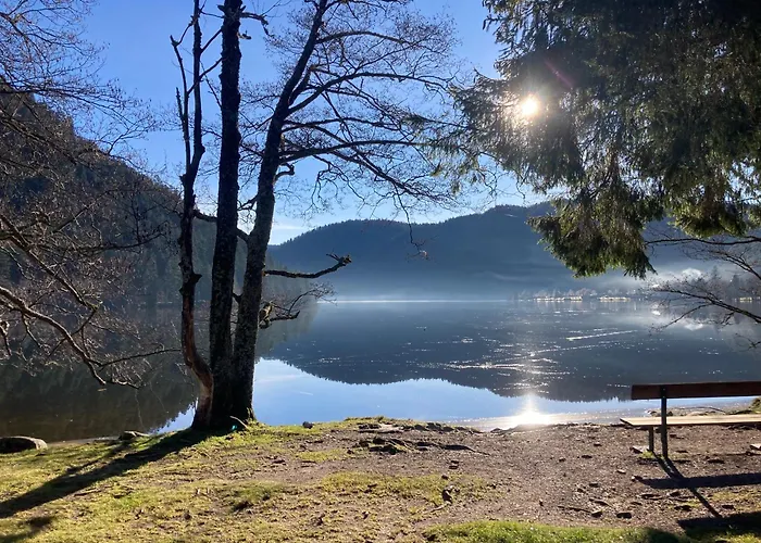 Le Perchoir- Grand Valtin 6 Pers